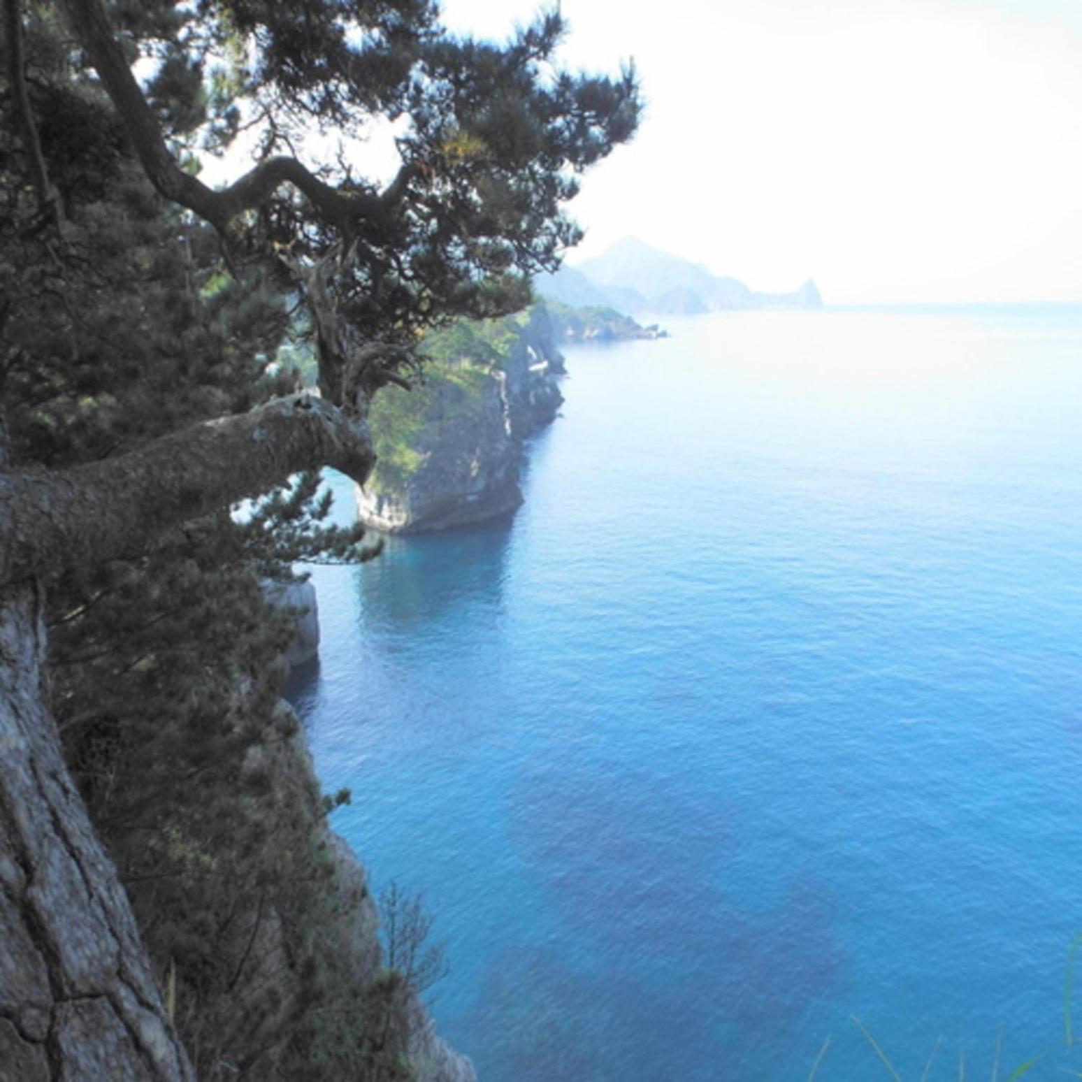 Beauty&Spa Resort Izu 頬杖の刻 Zewnętrze zdjęcie
